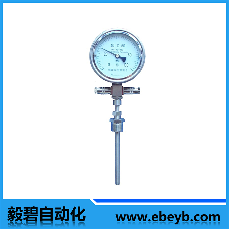 WTYY系列遠(yuǎn)傳溫度計(jì)