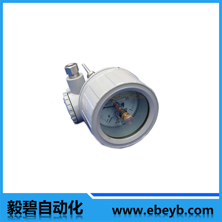 防爆型雙金屬溫度計(jì)