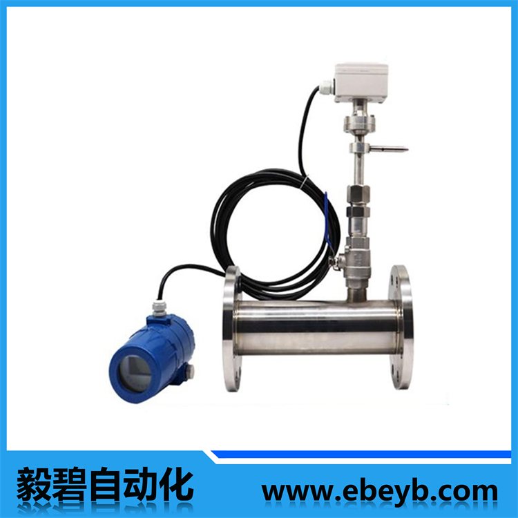 熱式氣體質(zhì)量流量計（管道分體式）